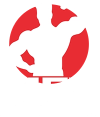 MFX Suplementos